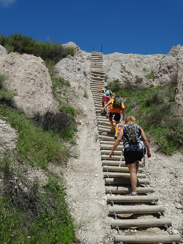 Notch Trail Steps