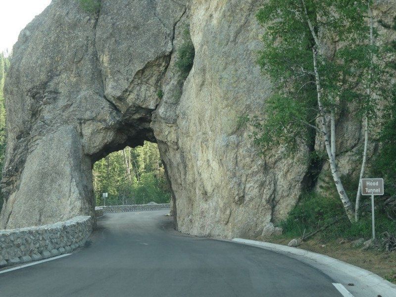 Needles Hwy at Custer SP