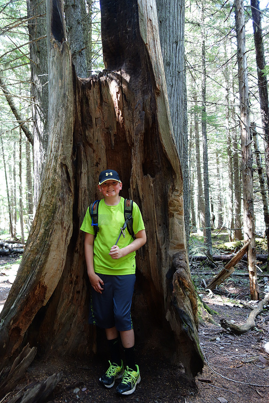 Avalanche Lake Trail