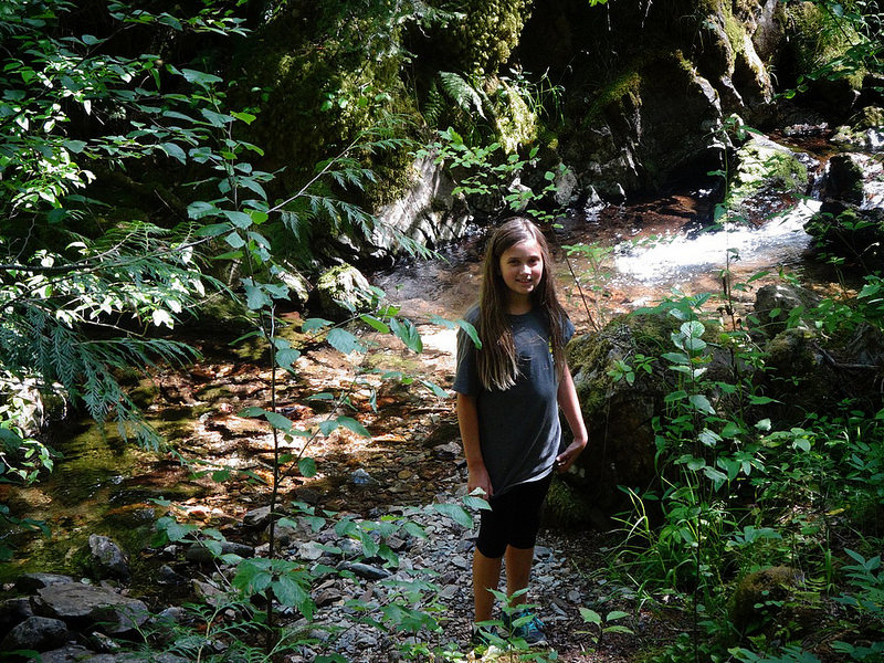 Placer Creek on the Pulaski Tunnel Trail