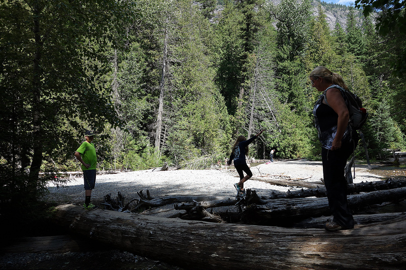 Avalanche Lake Trail