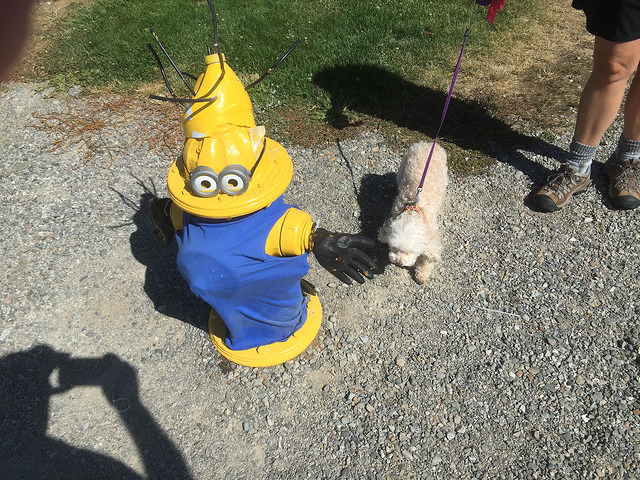 Minion Fire Hydrant at Blackwell Island RV Park