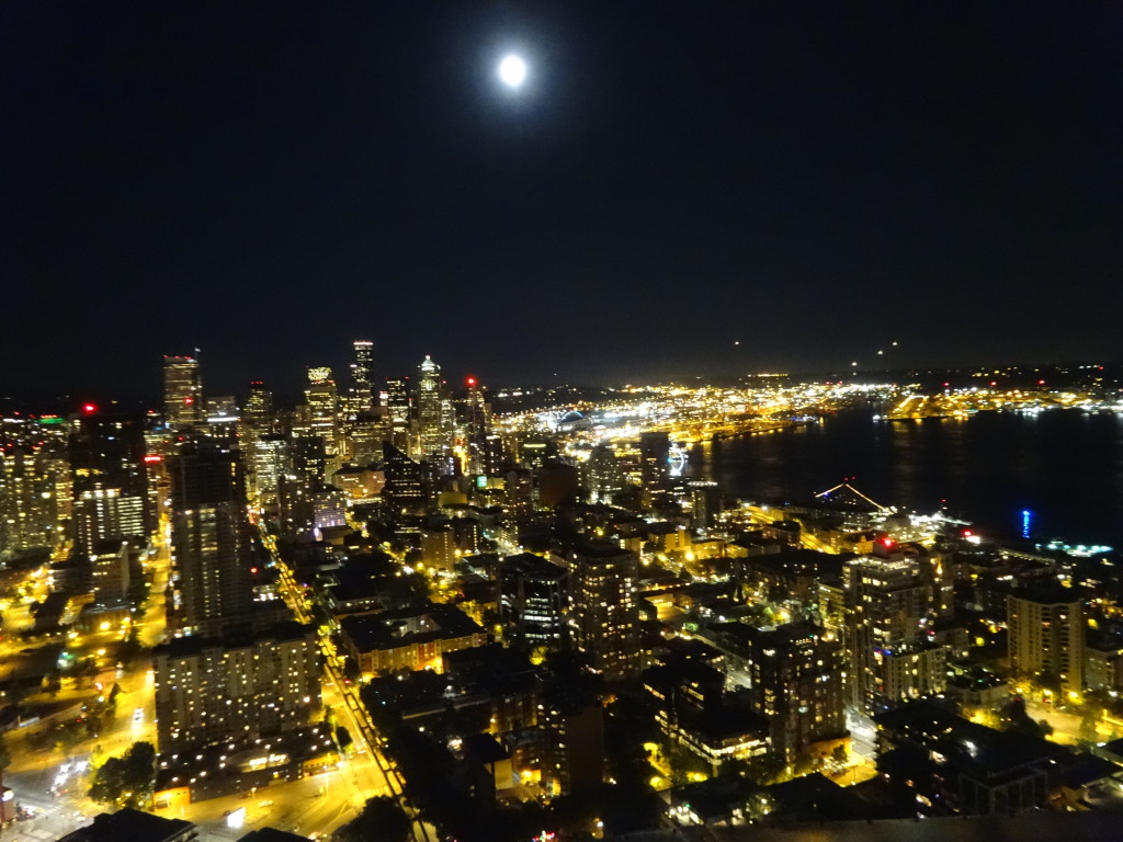 Top of Space Needle -Night