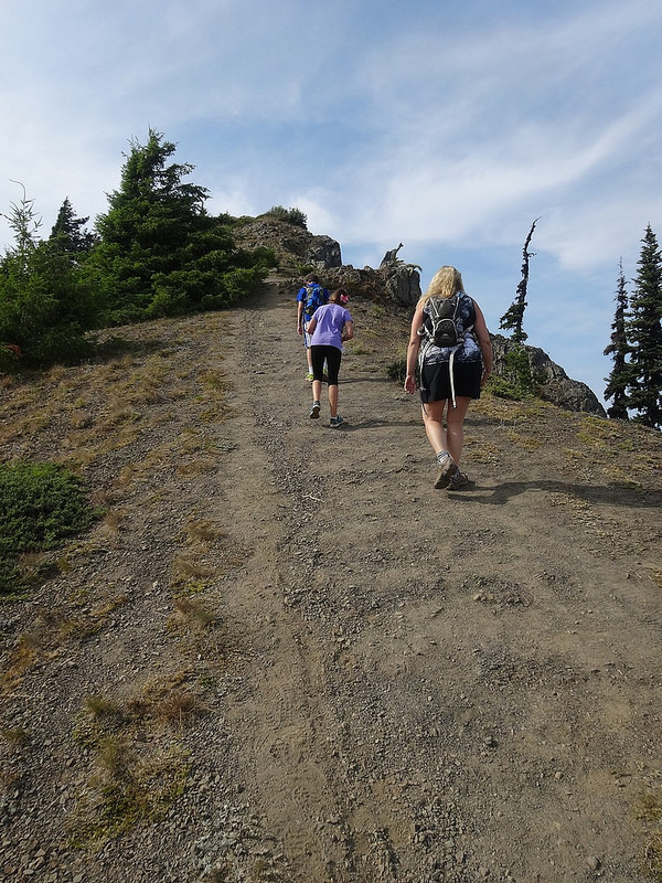 Hurricane Ridge - Trail Up