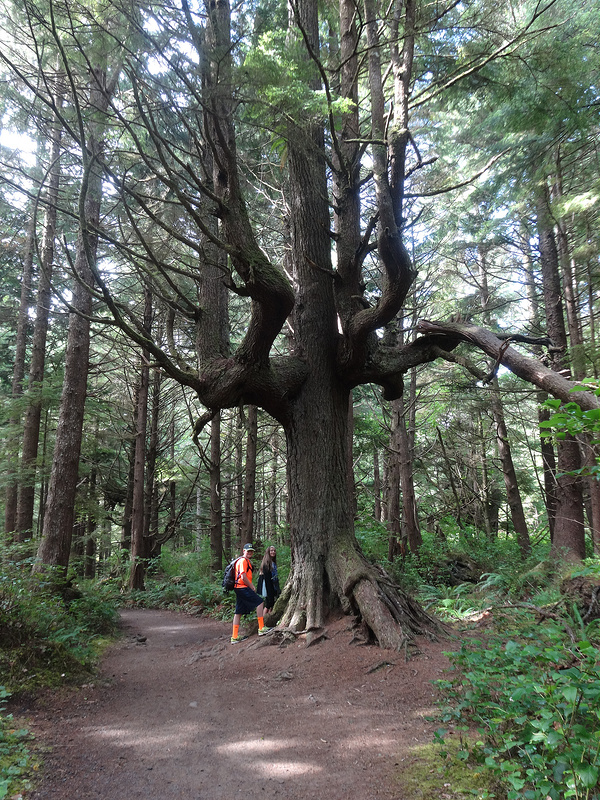 Hike to Second Beach