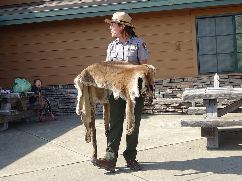 Hurricane Ridge - Ranger Talk