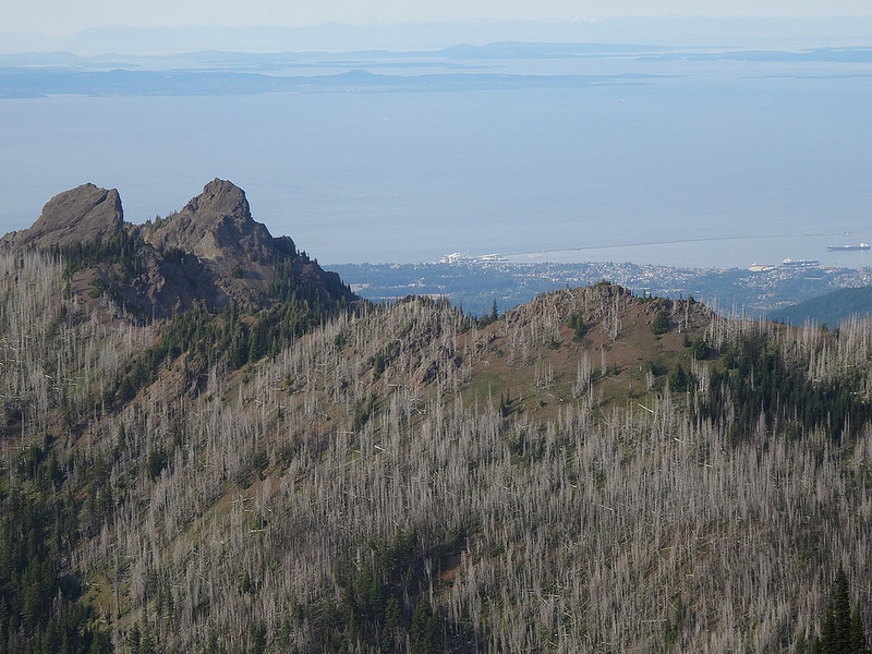 Hurricane Ridge - Unicorn and Canada