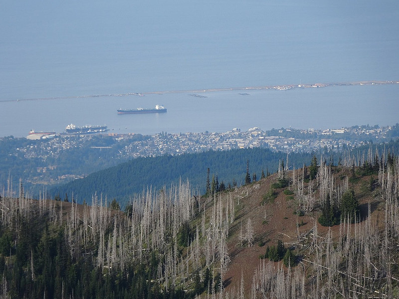 Hurricane Ridge - Port Angeles