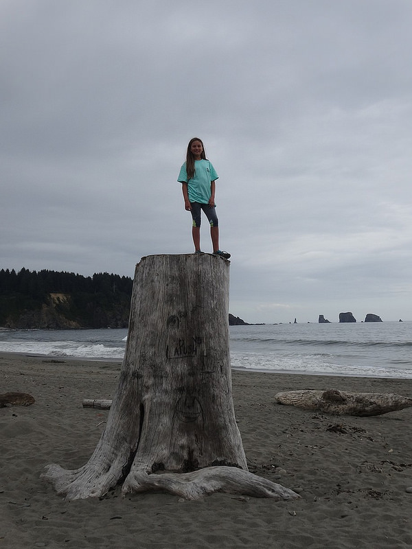 La Push - First Beach L Stumped