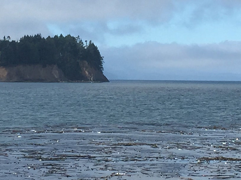 Whale Sighting Crescent Bay
