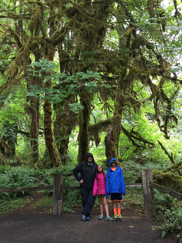 Hoh Rainforest - Maple Grove