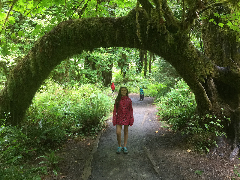 Hoh Rainforest - L Tree Rainbow