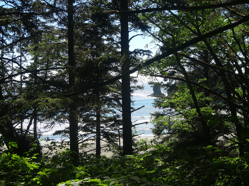 Second  Beach - Emerging from Forest Hike