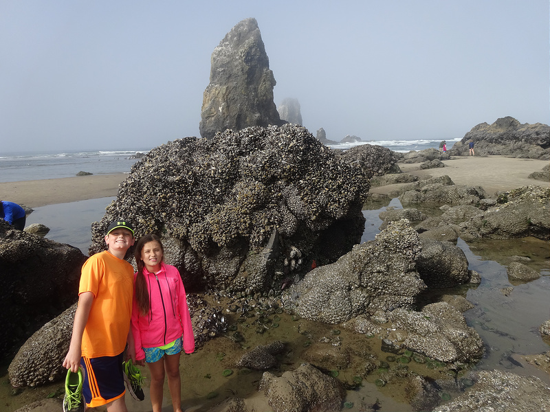 Cannon Beach - L and M3 Needles