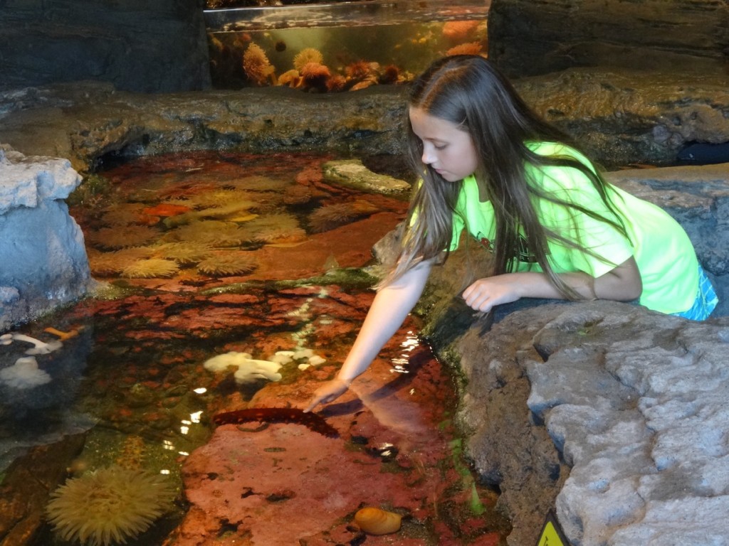 Seattle Aquarium