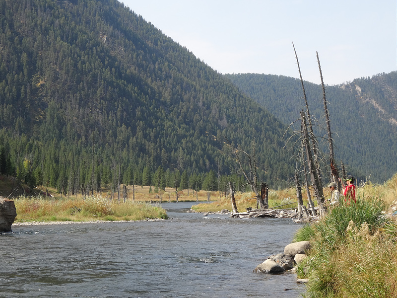 Yellowstone-Fishing on the Madison