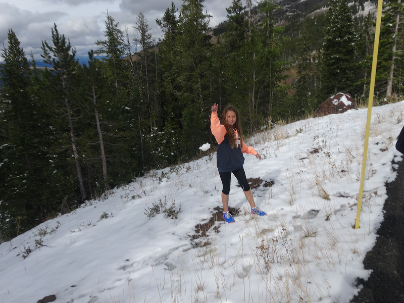 Yellowstone-Snow In Flight