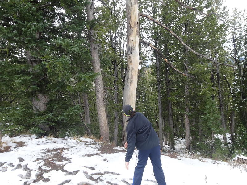 Yellowstone-M3 snow