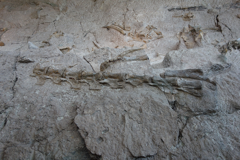 Dino-Quarry (2)