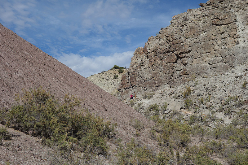 Dino-Fossil Trail