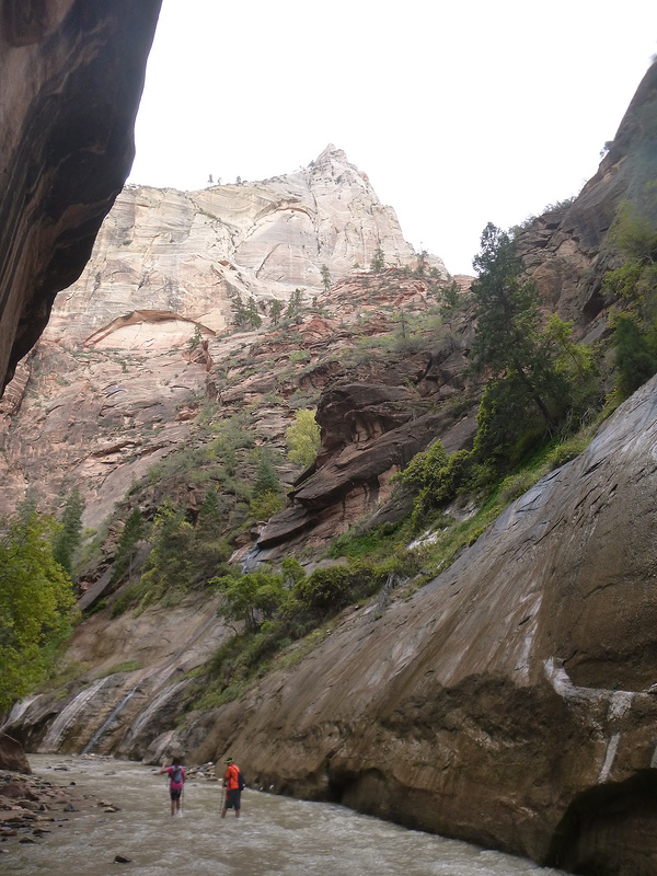 Zion-Narrows Hike (9)