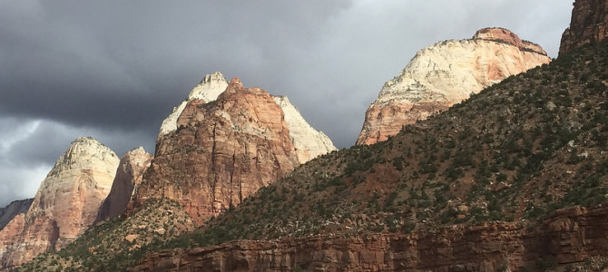 Zion and the Art of Hiking Slot Canyons