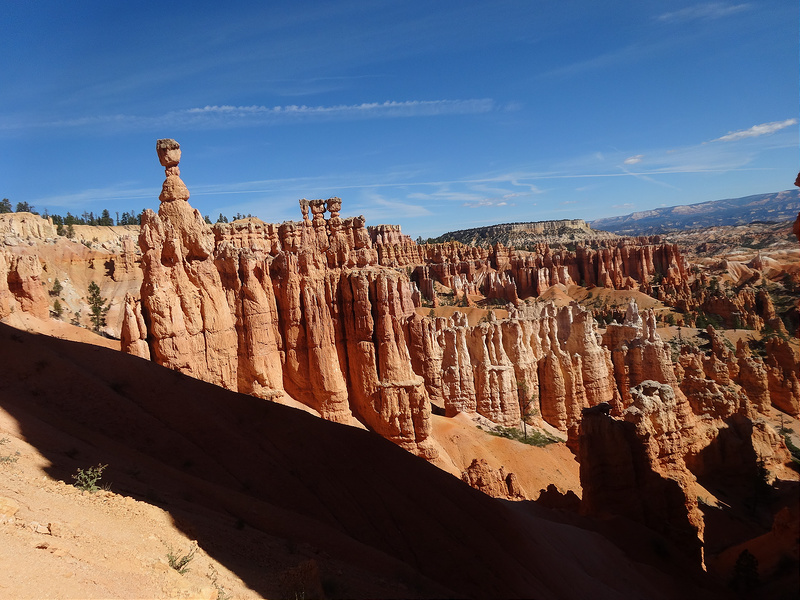 Bryce-Queens Garden Thor's Hammer