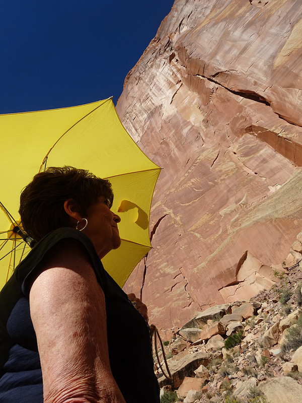 Capitol Reef-G Viewing Petroglyphs