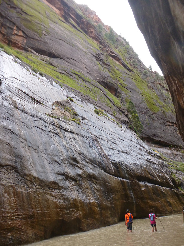 Zion-Narrows Hike (18)