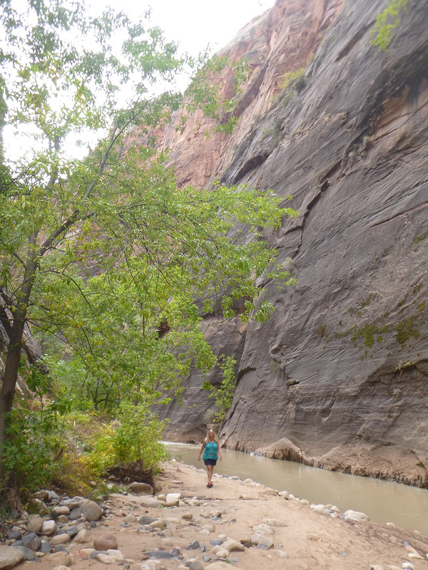 Zion-Narrows Hike (4)