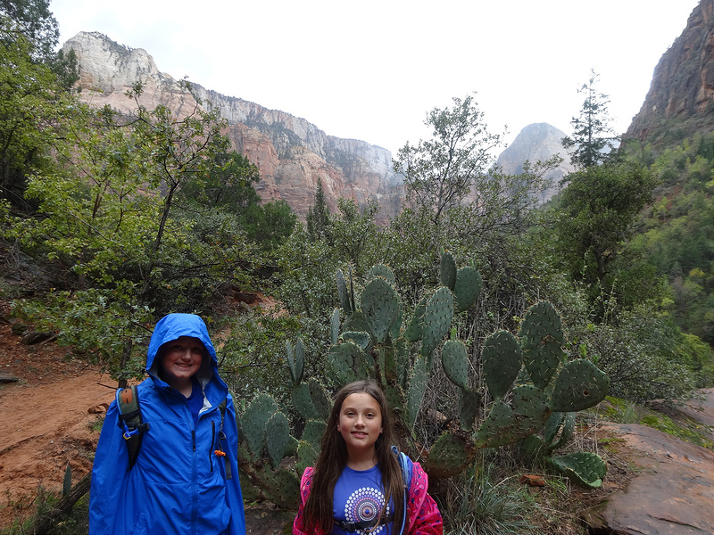 Zion-Emerald Pools Trail (4)