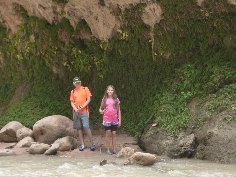 Zion-Narrows Hike (12)