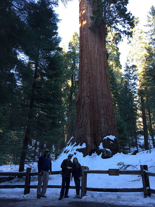 Sequoia-Park