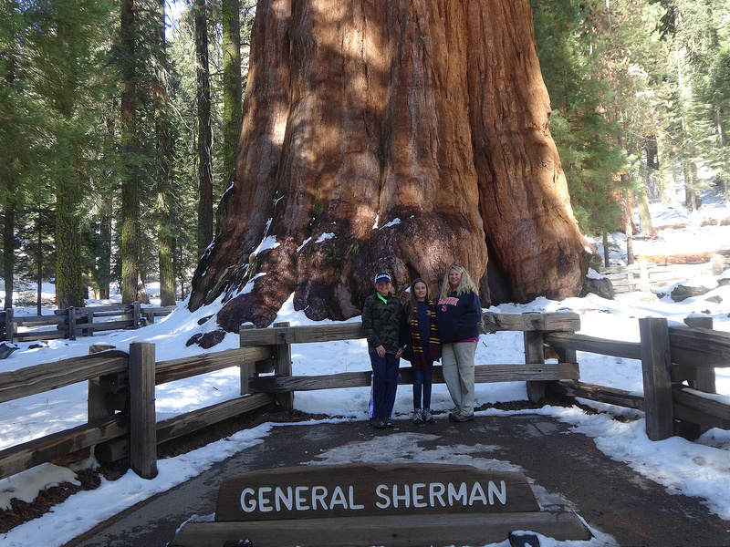 Sequoia-Park (4)