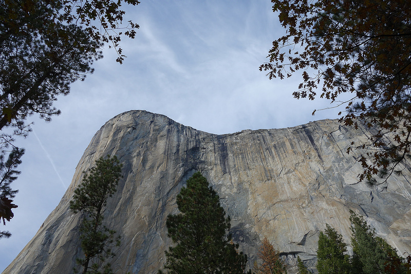 Yosemite-El Capitan