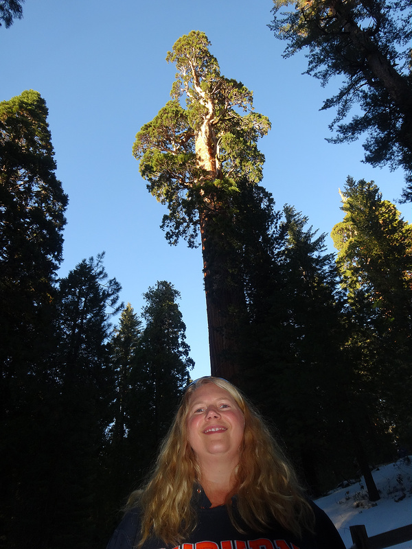 Sequoia-Park (5)