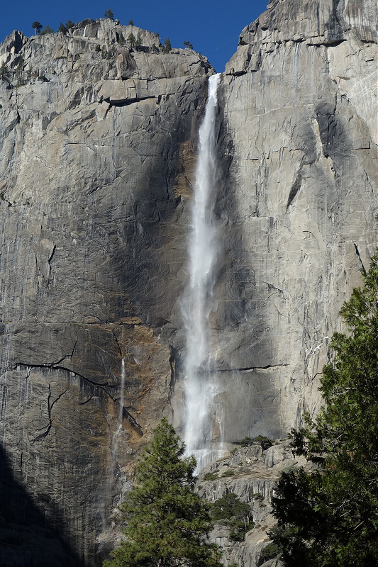 Yosemite-Falls (4)