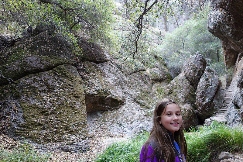 Pinnacles-Trail