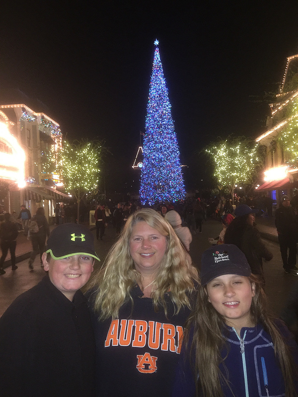 Disneyland-Christmas Tree