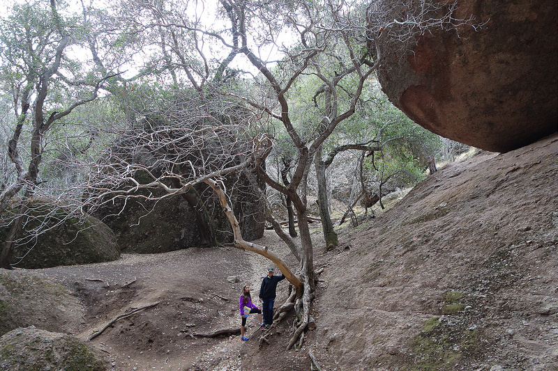 Pinnacles-Boulders