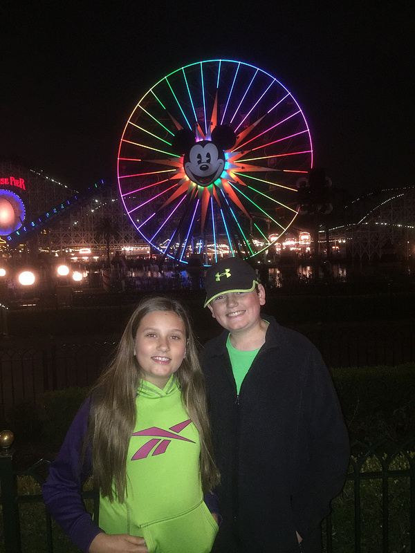 Cali Adventure-Mickey's Fun Wheel