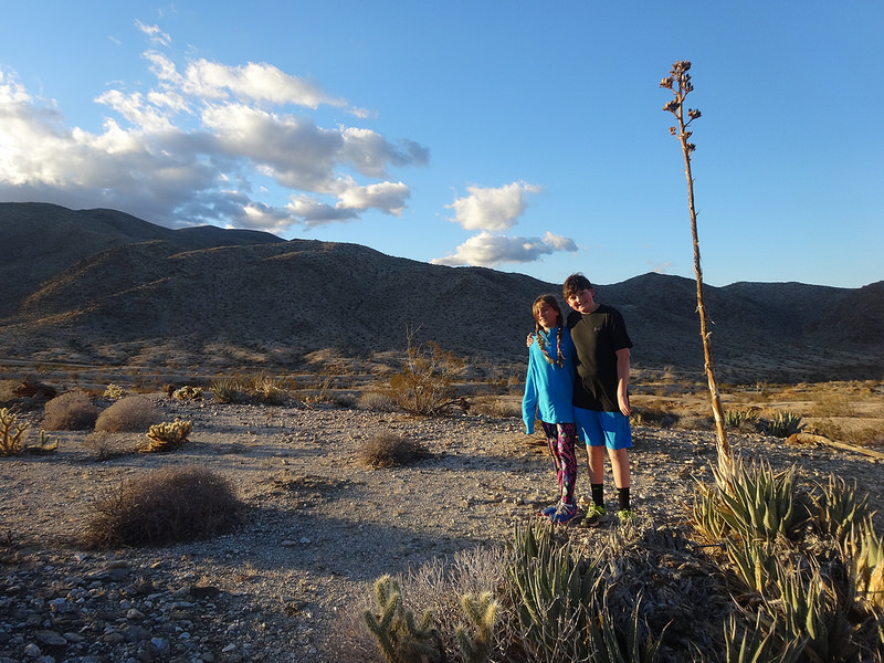 Anza-Borrego-Agave