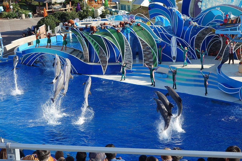 SD-SeaWorld Dolphins