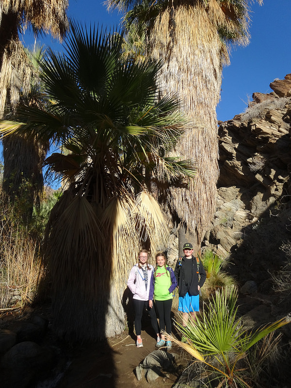 Palm Desert-Indian Canyons