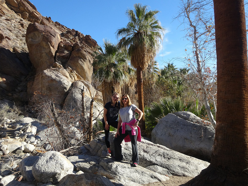 Palm Desert-Indian Canyons