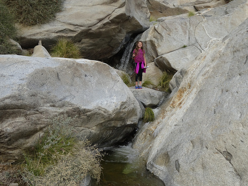 Anza-Borrego-L at Back Waterfall