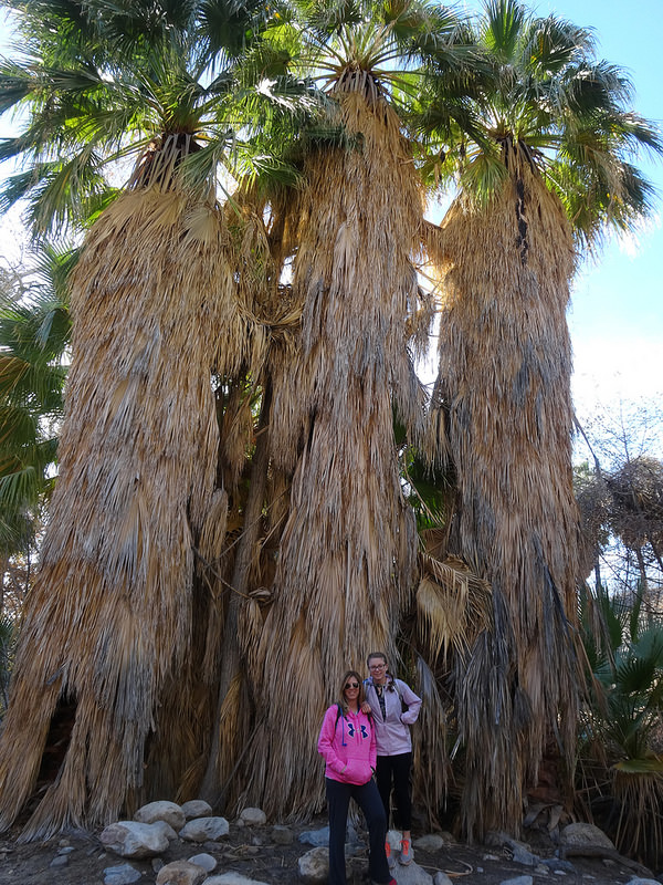 Palm Desert-Indian Canyon