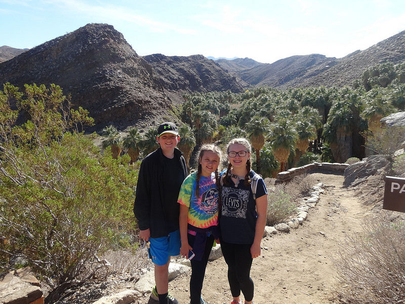 Palm Desert-Indian Canyon (6)