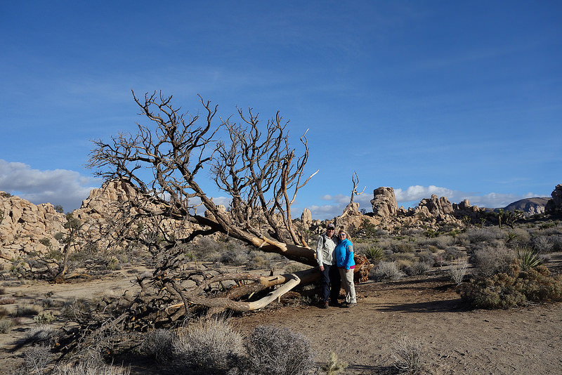 Palm Desert-Joshua Tree (5)