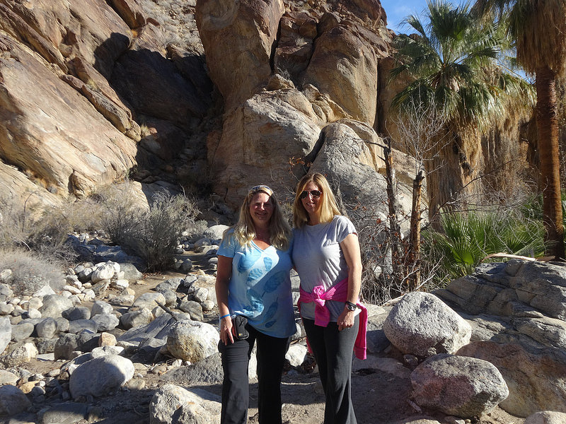 Palm Desert-Indian Canyon (2)